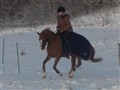 Kajsa (13) - Kopia.JPG