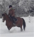Winnie1 (2).JPG