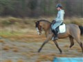 nov-08 049.JPG